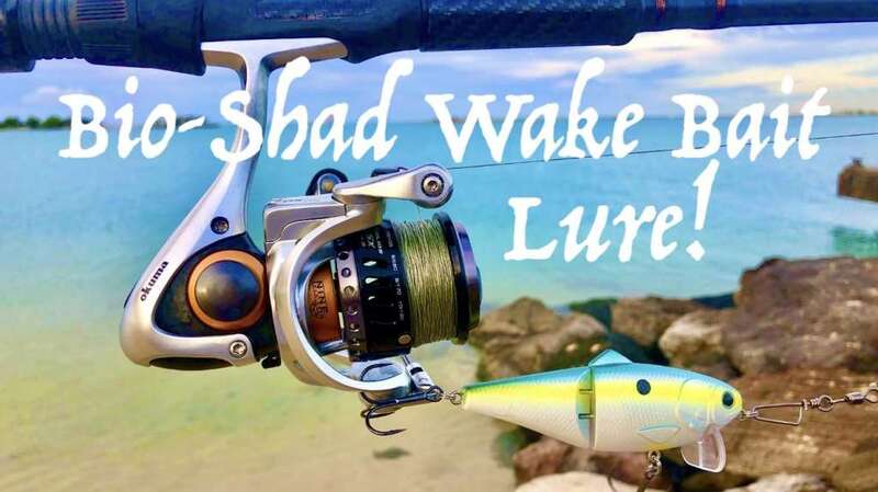 Attached picture Bio-Shad Wake Bait Lure.jpg